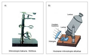 1. Irudia: Leeuwenhoeken mikroskopio bakuna (A) eta Hookeren mikroskopioa (B).<br><br>